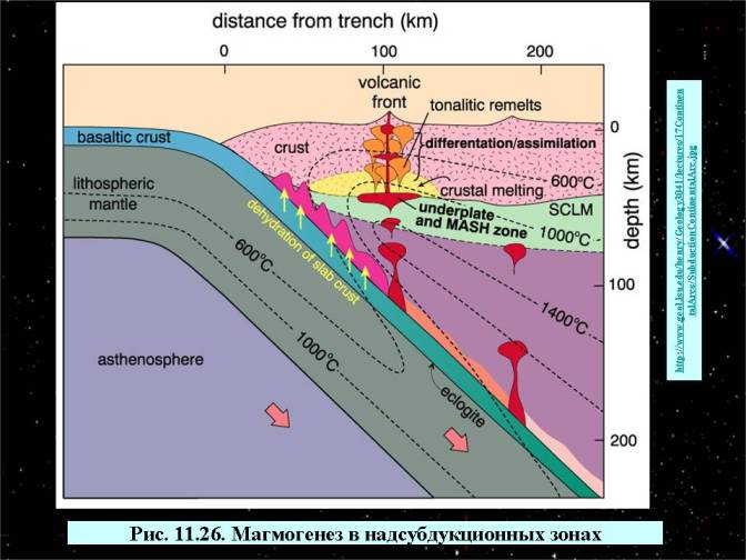 Магмогенез в надсубдукционных зонах.   