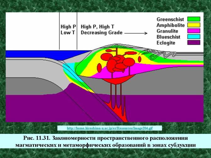 Закономерности пространственного расположения магматических и метаморфических образований в зонах субдукции.  