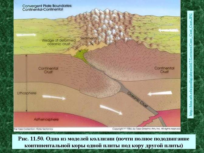. Одна из моделей коллизии (почти полное пододвигание континентальной коры одной плиты под кору другой плиты).  