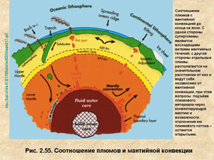 Соотношение плюмов и мантийной конвекции