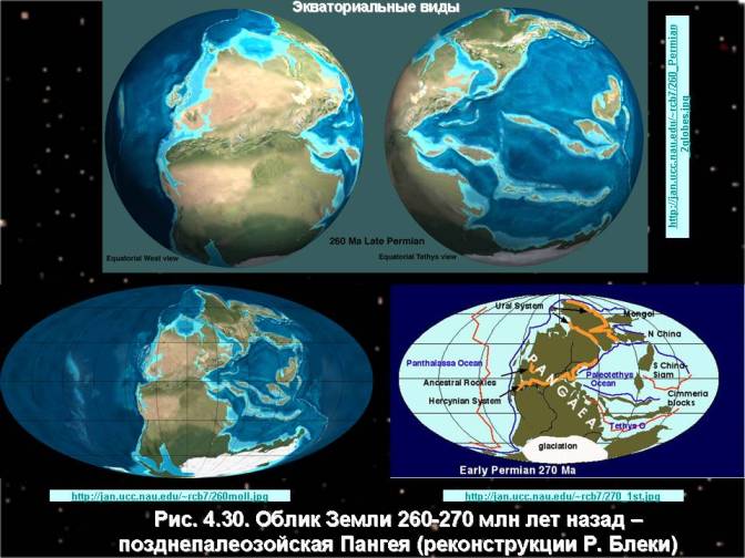 Облик Земли 260-270 млн лет назад – позднепалеозойская Пангея (реконструкции Р. Блеки).   